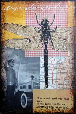 Vegas dragonfly